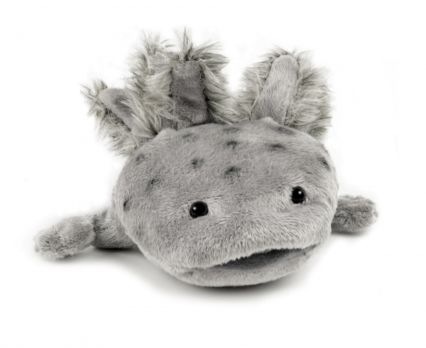 Axolotl grau 30 cm